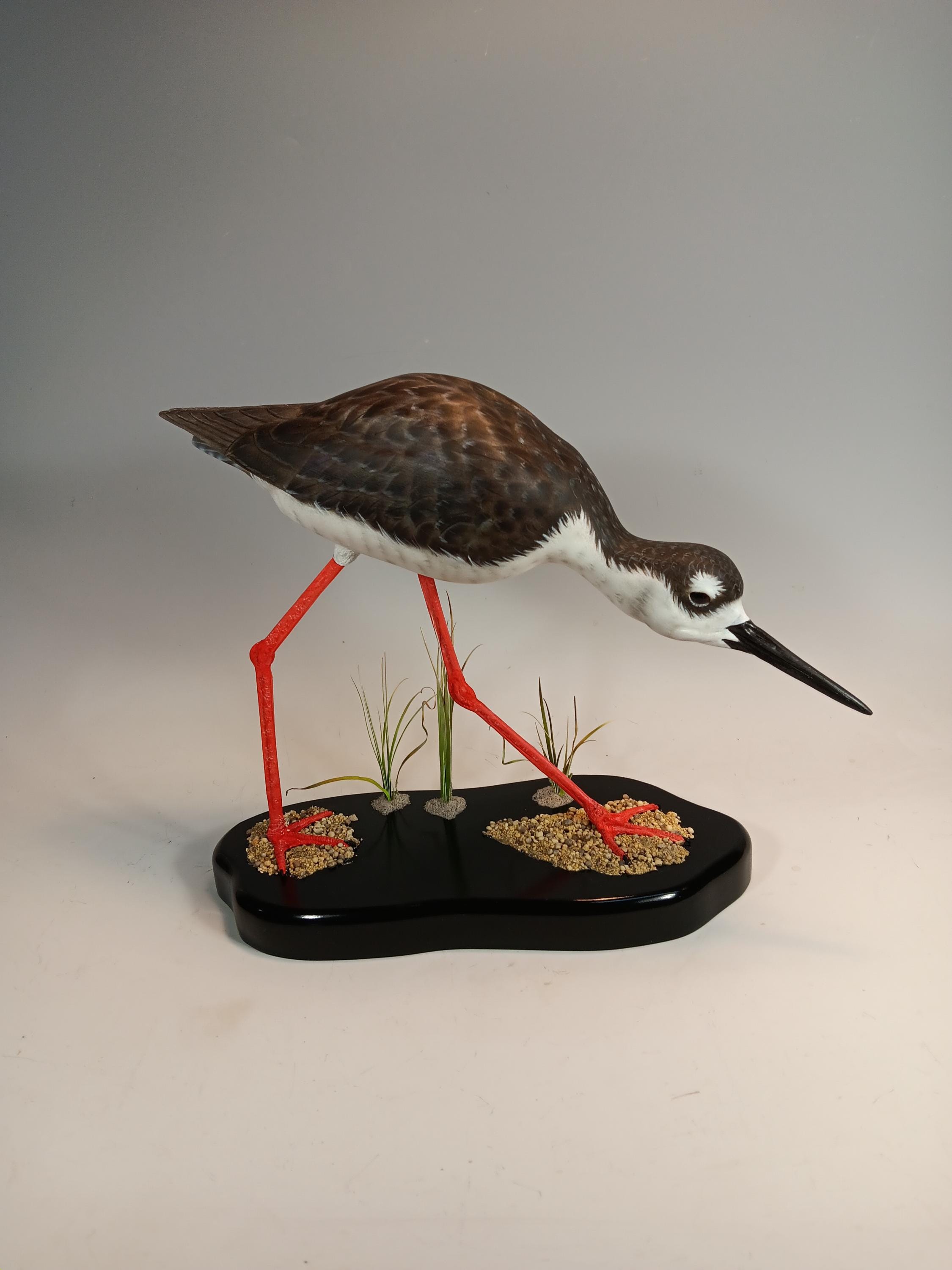 Black-Necked Stilt carving by Edward H. Legg