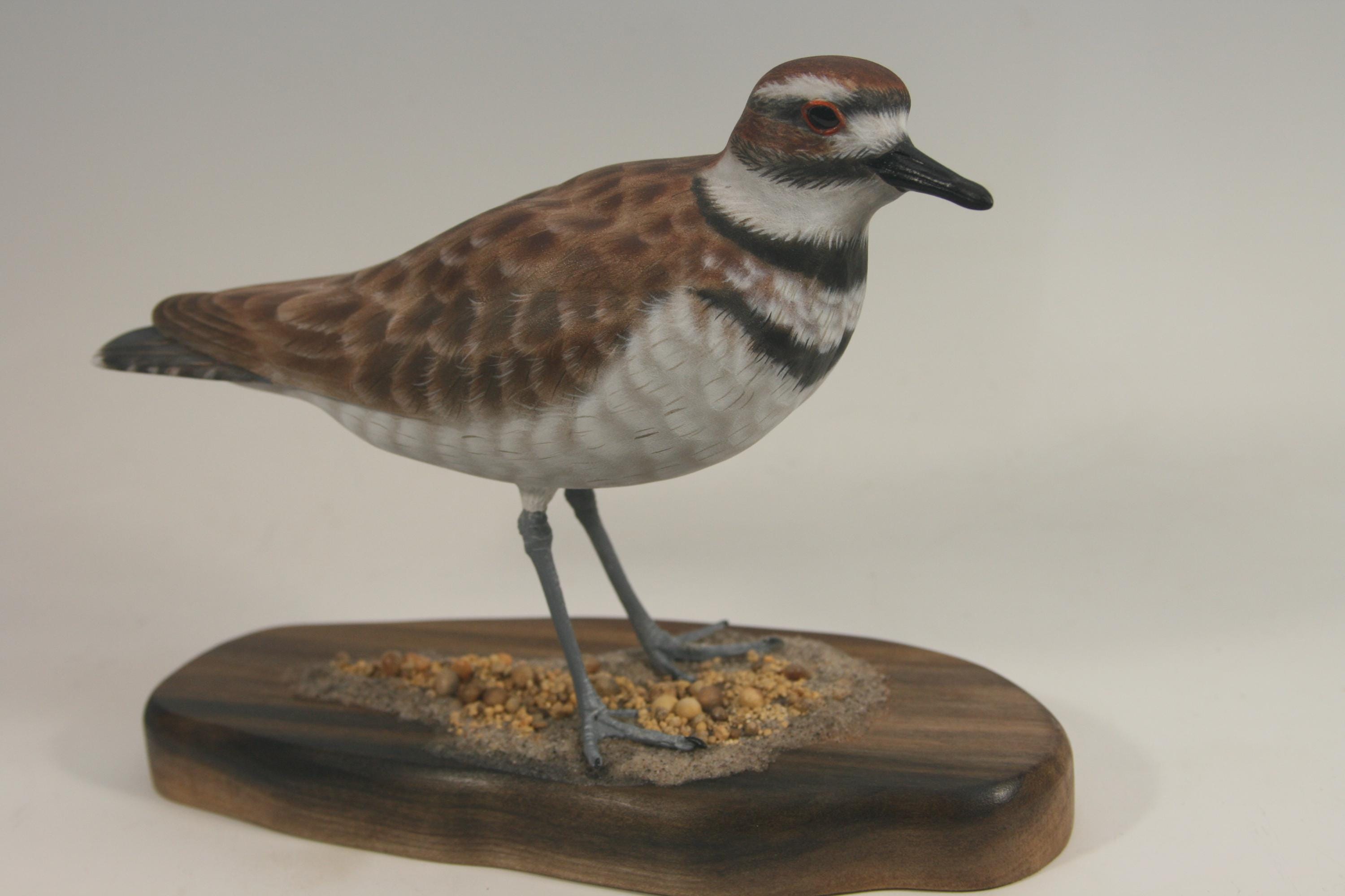 Killdeer — hand carved wildfowl sculpture by Edward H. Legg