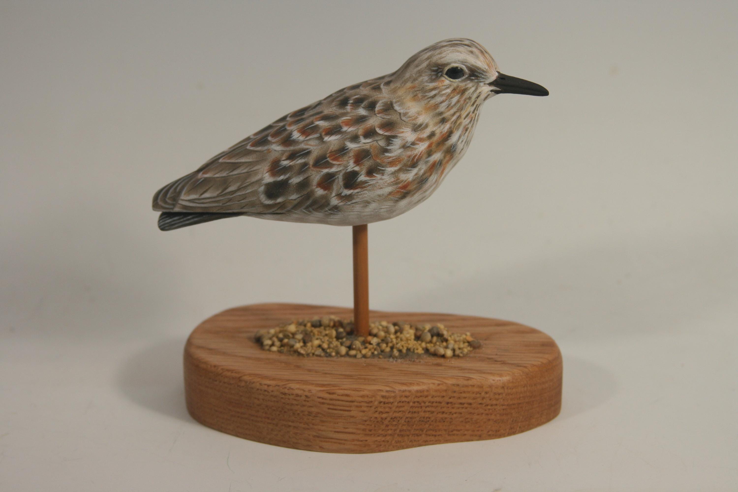 Least Sandpiper — hand carved wildfowl sculpture by Edward H. Legg