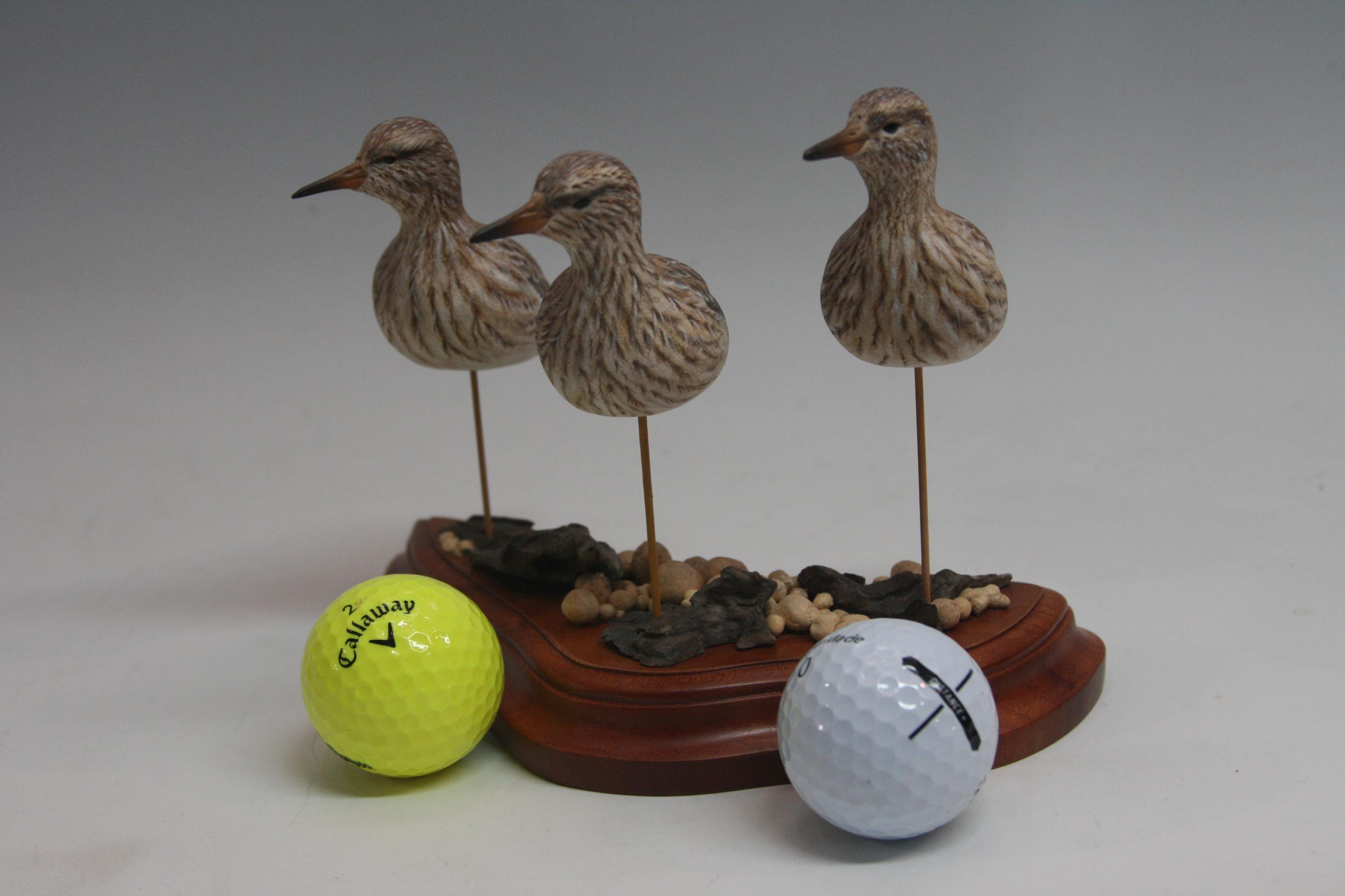 Pectoral Sandpipers — view 3