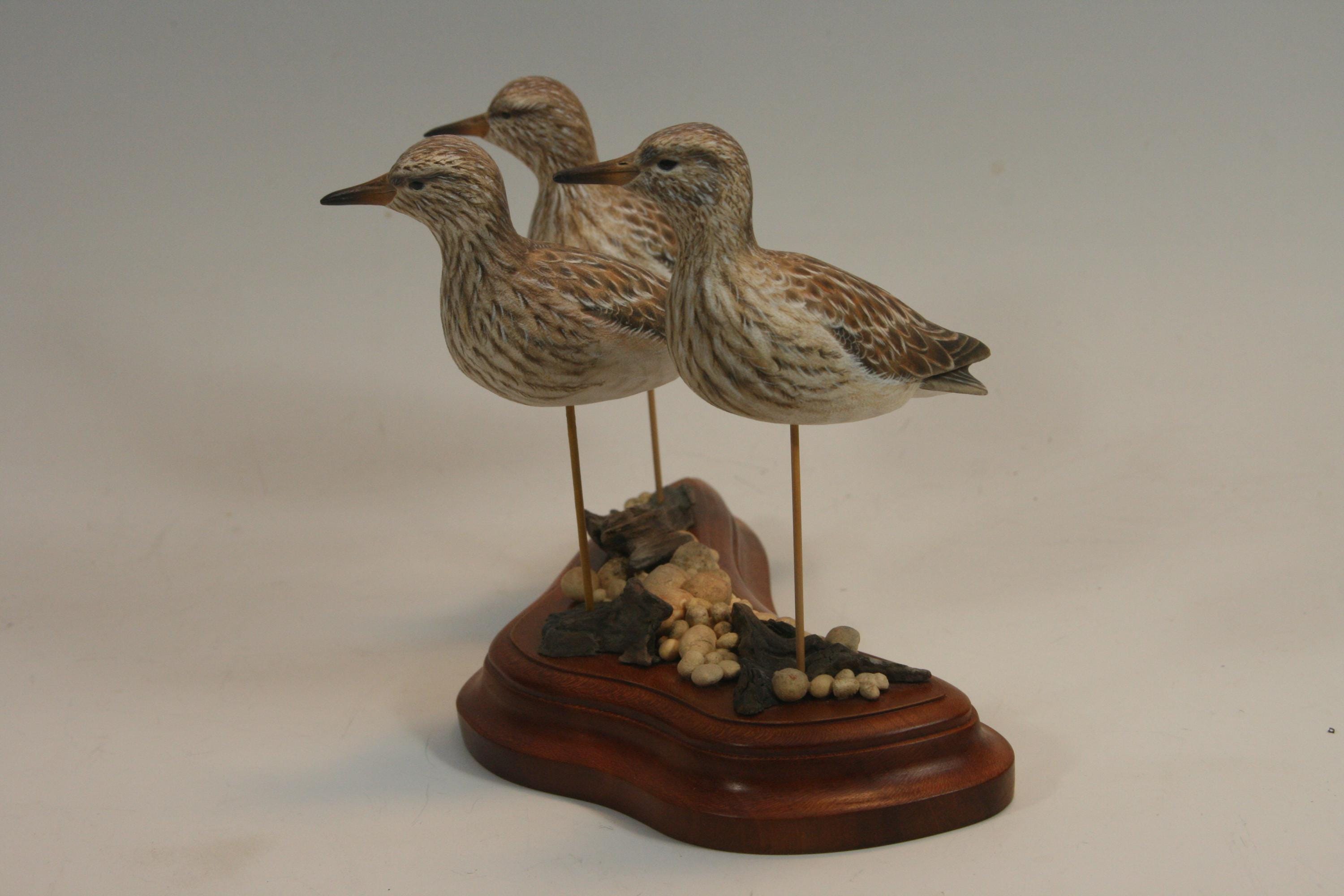 Pectoral Sandpipers — view 9
