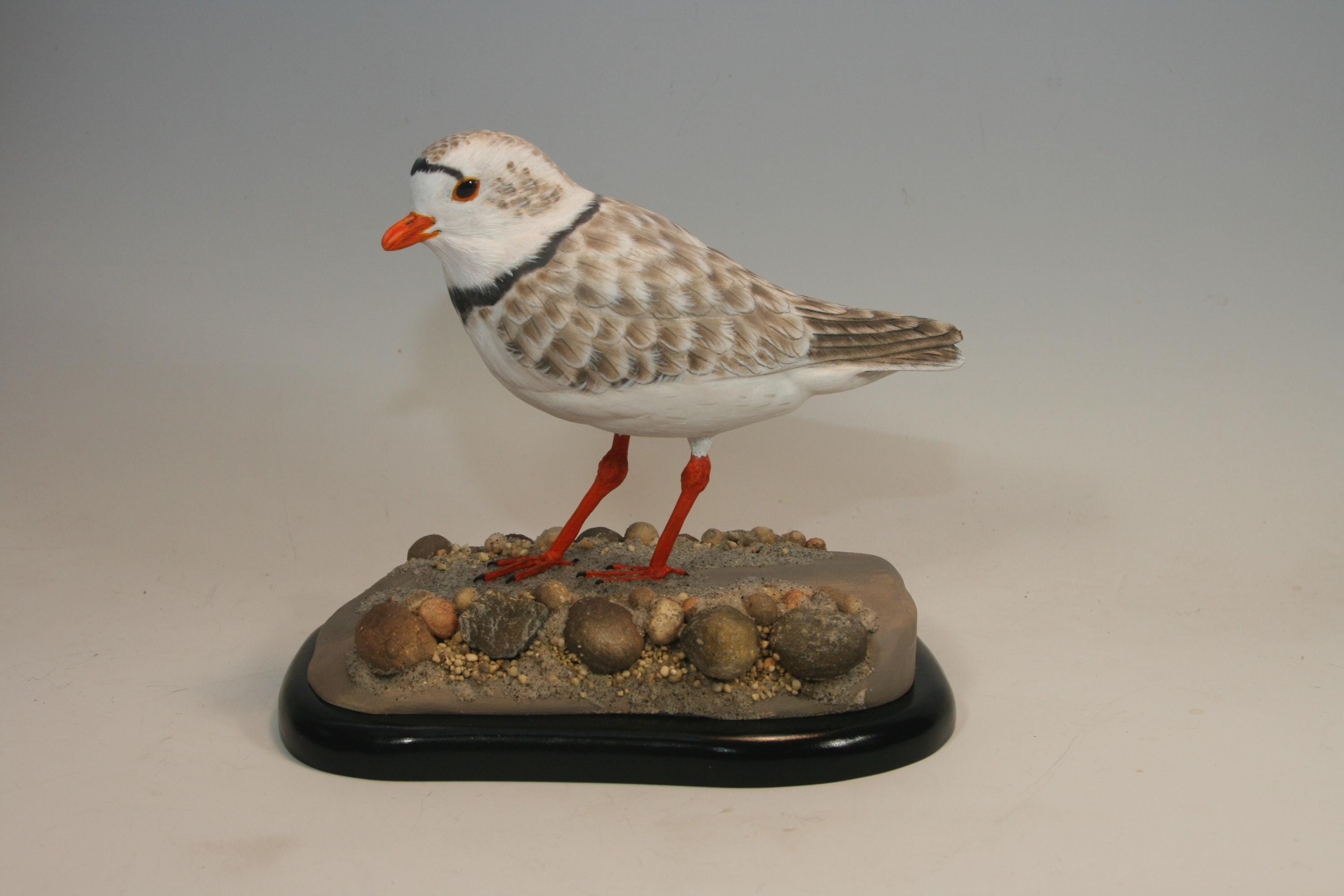 Piping Plover — hand carved wildfowl sculpture by Edward H. Legg