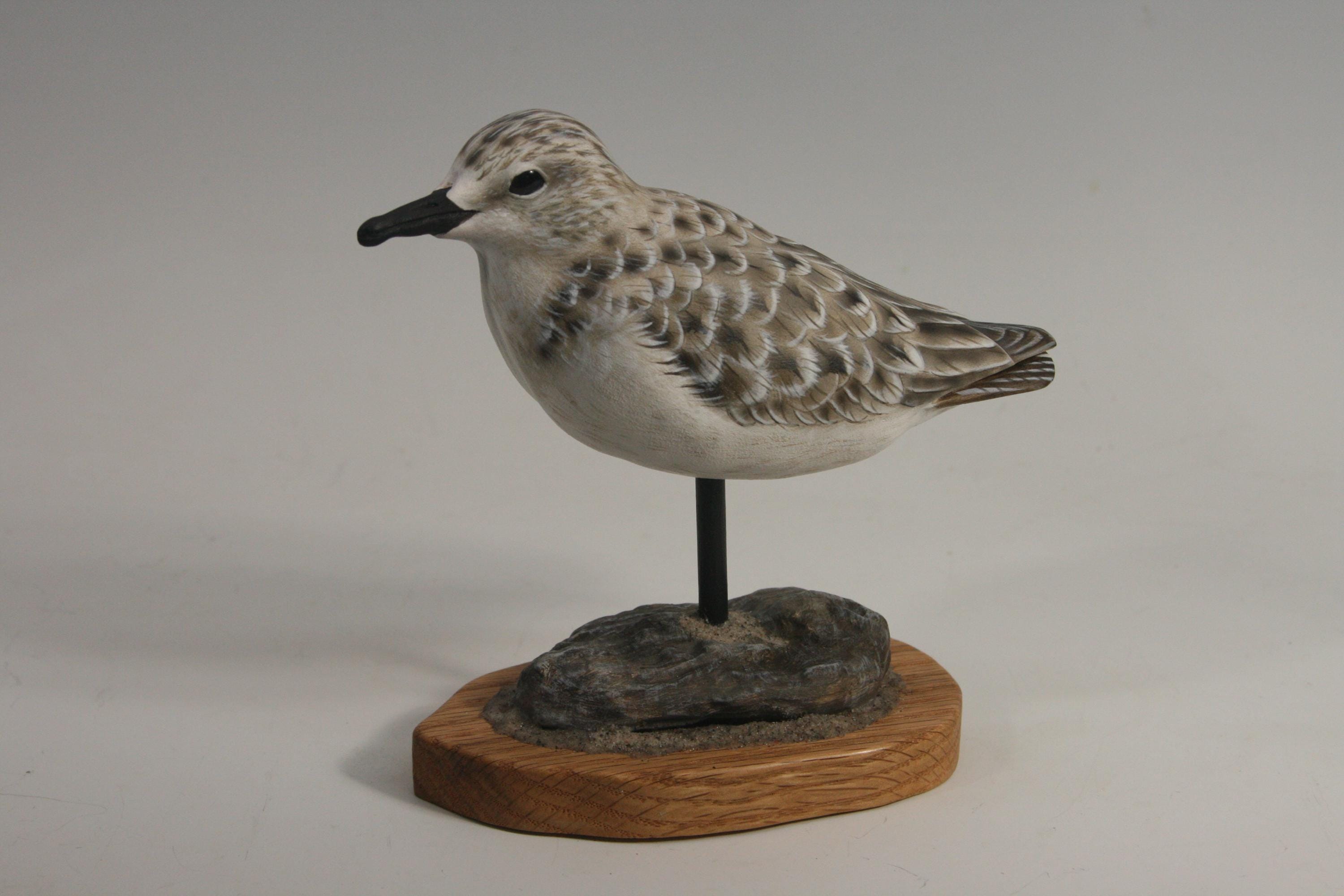 Sanderling (Decoy) — hand carved wildfowl sculpture by Edward H. Legg