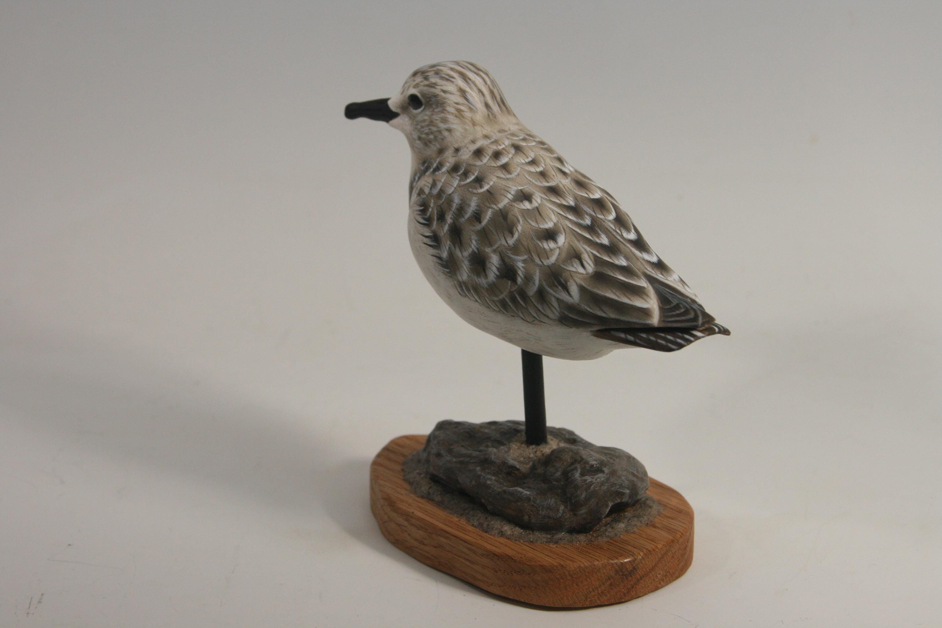 Sanderling (Decoy) — view 3