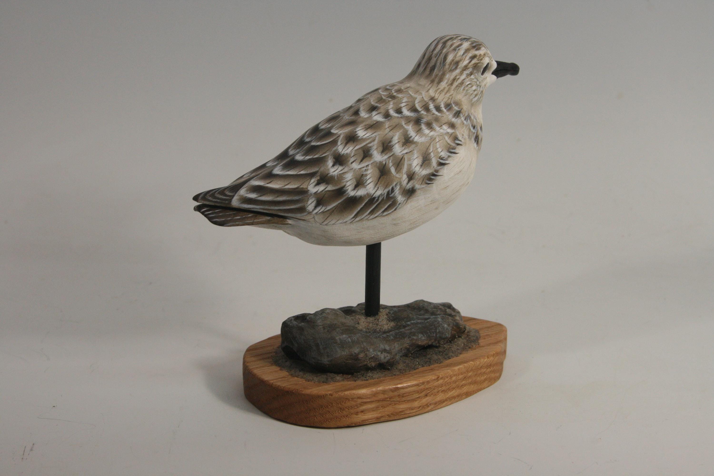 Sanderling (Decoy) — view 4