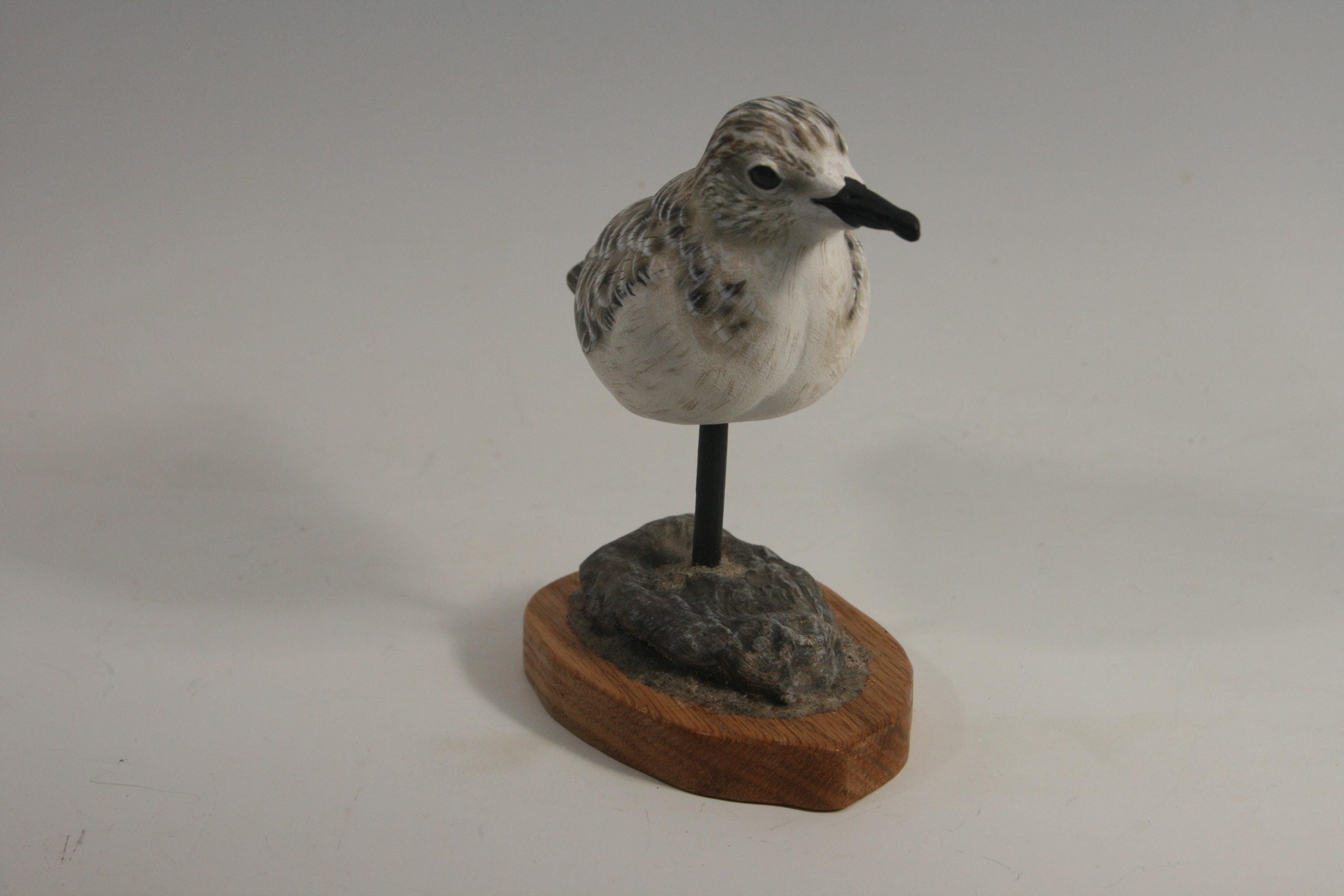 Sanderling (Decoy) — view 5