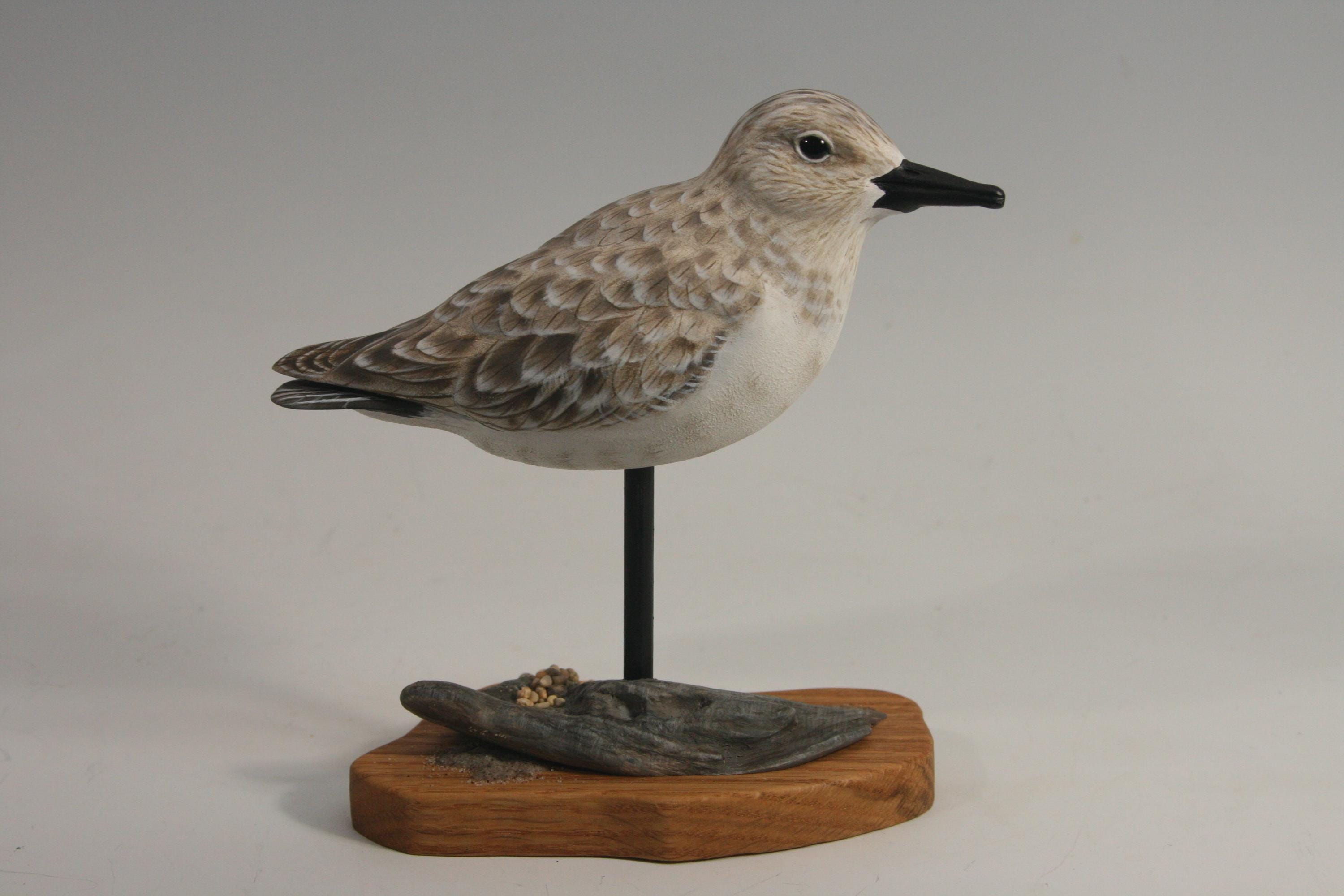 Sanderling (Sculpture) — hand carved wildfowl sculpture by Edward H. Legg