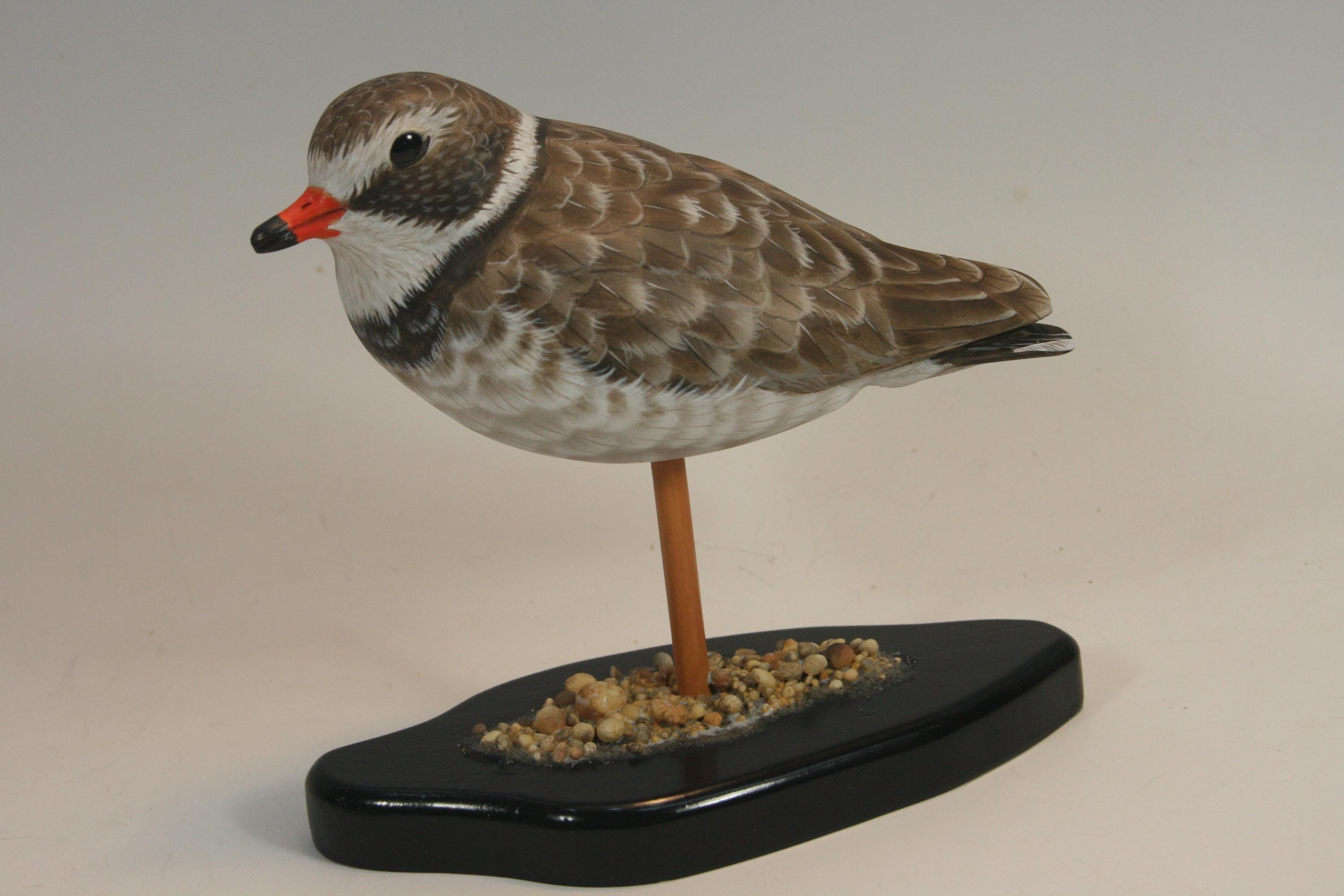 Semi-Palmated Plover — hand carved wildfowl sculpture by Edward H. Legg