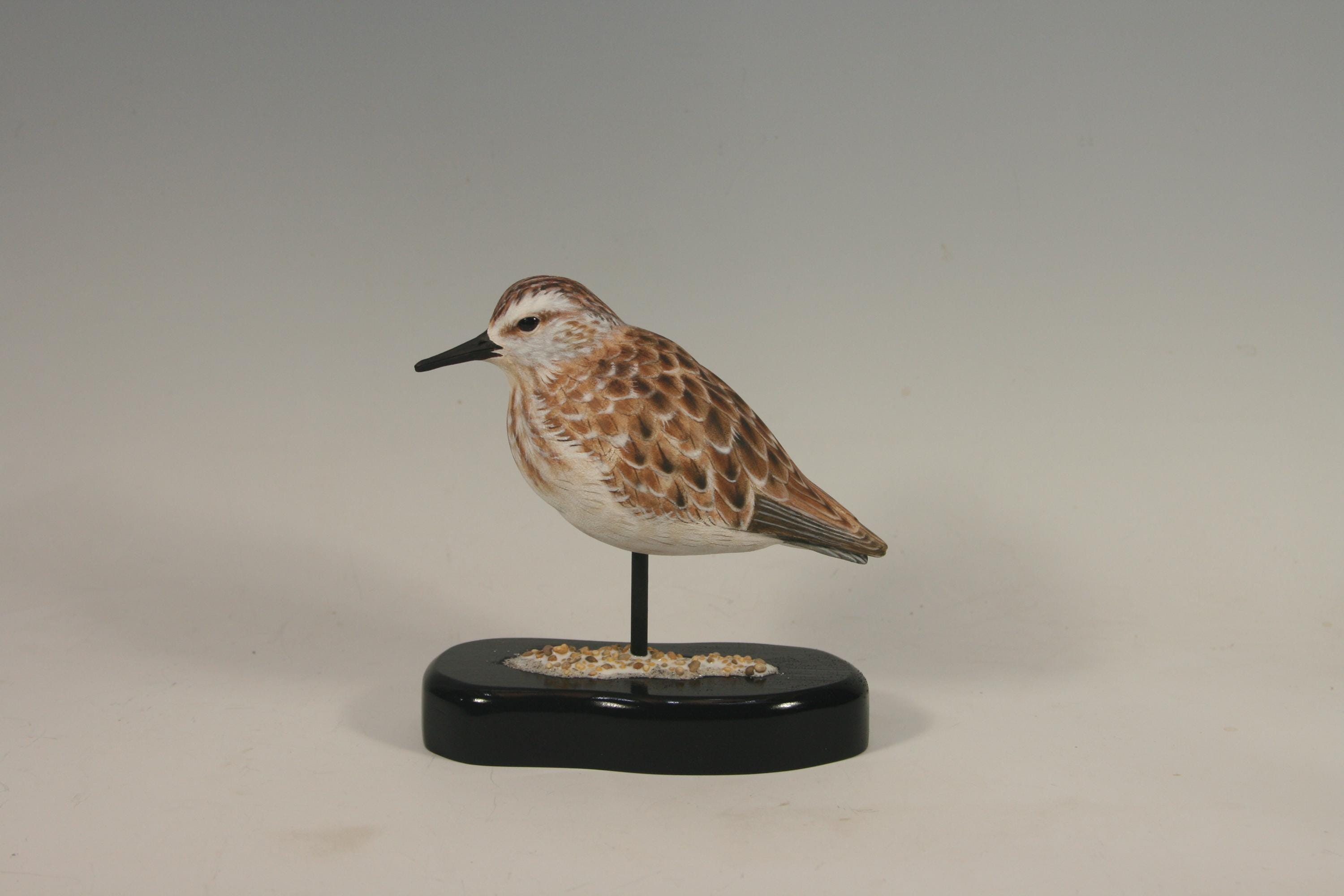Semi-Palmated Sandpiper — hand carved wildfowl sculpture by Edward H. Legg