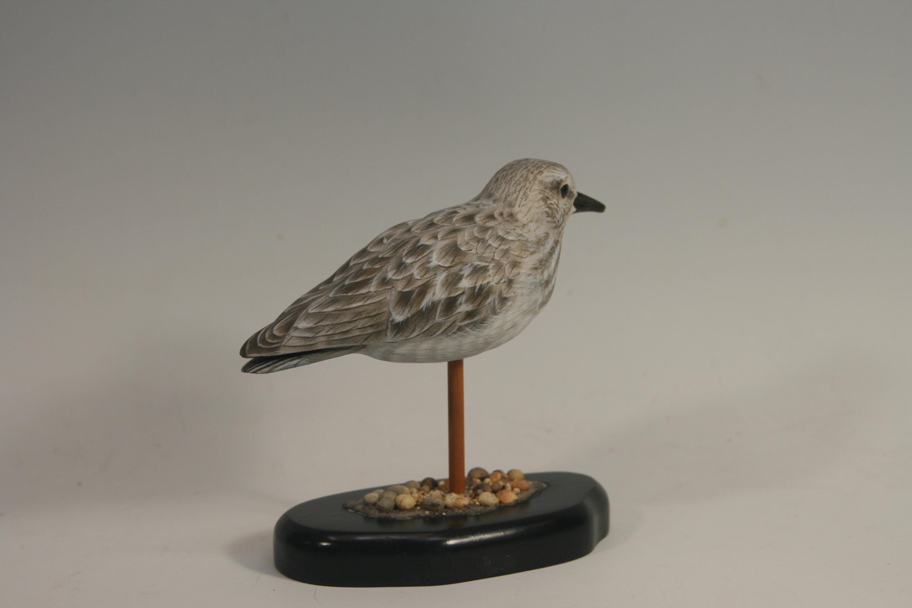 Least Sandpiper (Decoy) — view 4