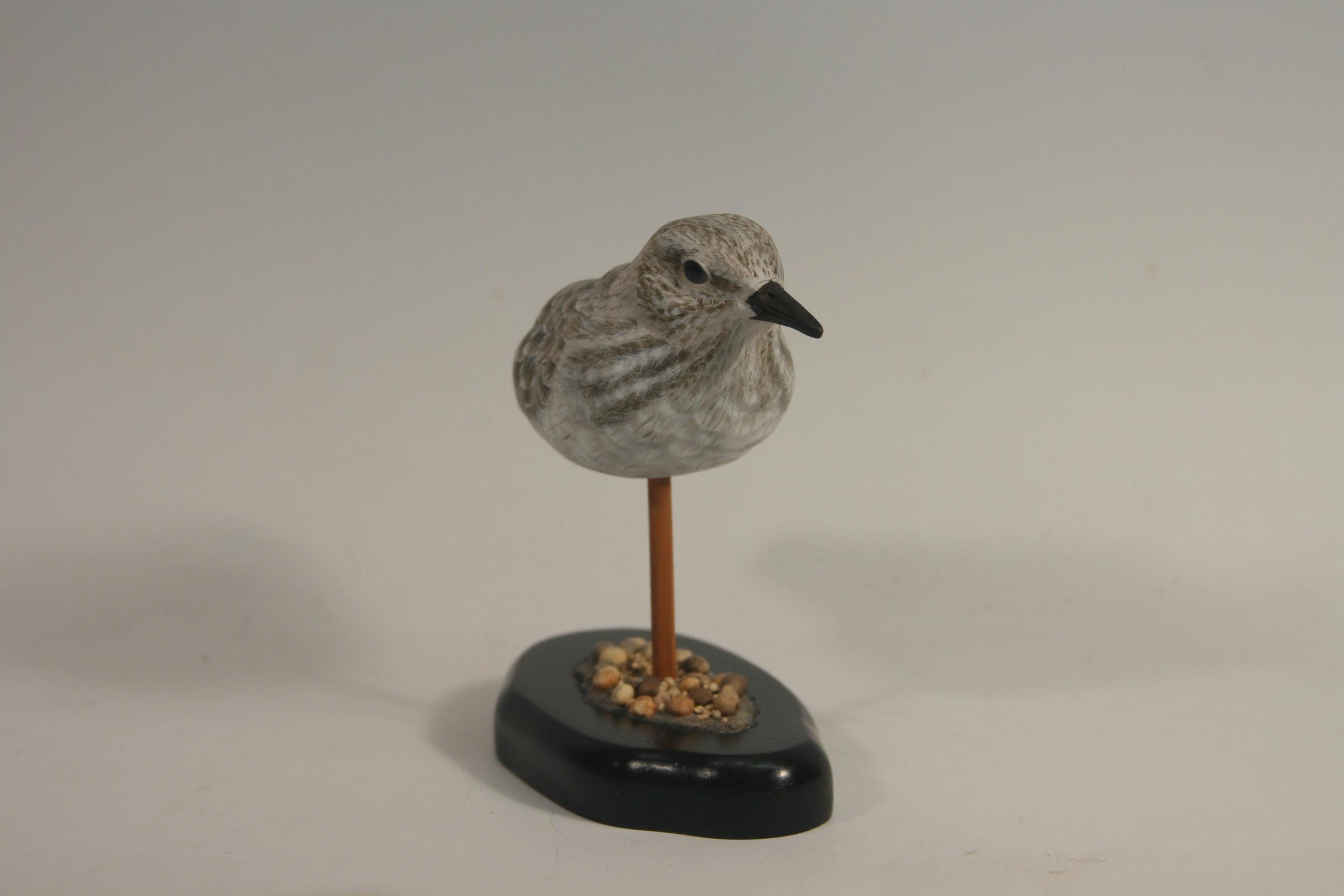 Least Sandpiper (Decoy) — view 5